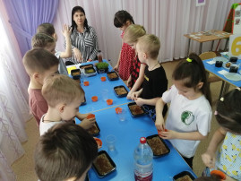 Квест-игра «Путешествие в страну правильного питания» Квест-игра «Путешествие в страну правильного питания».