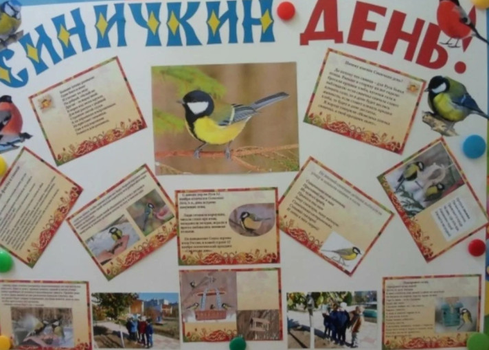 «Синичкин день» «Синичкин день».